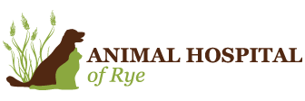 Link to Homepage of Animal Hospital of Rye